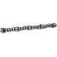 Camshaft ERR5250 for Range Rover 4.