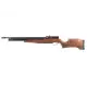 Benjamin Cayden.22 Hunting Rifle